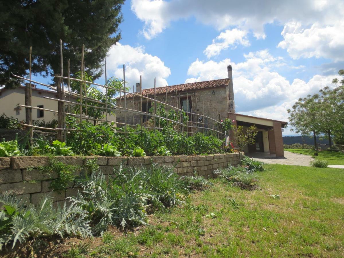 Agriturismo L'Alba Roccastrada Exterior foto